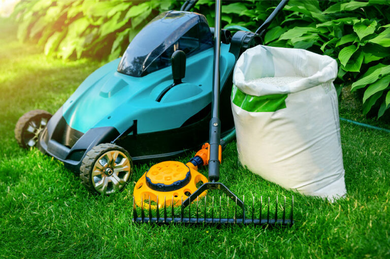 6 effective lawn care tips to maintain a green yard