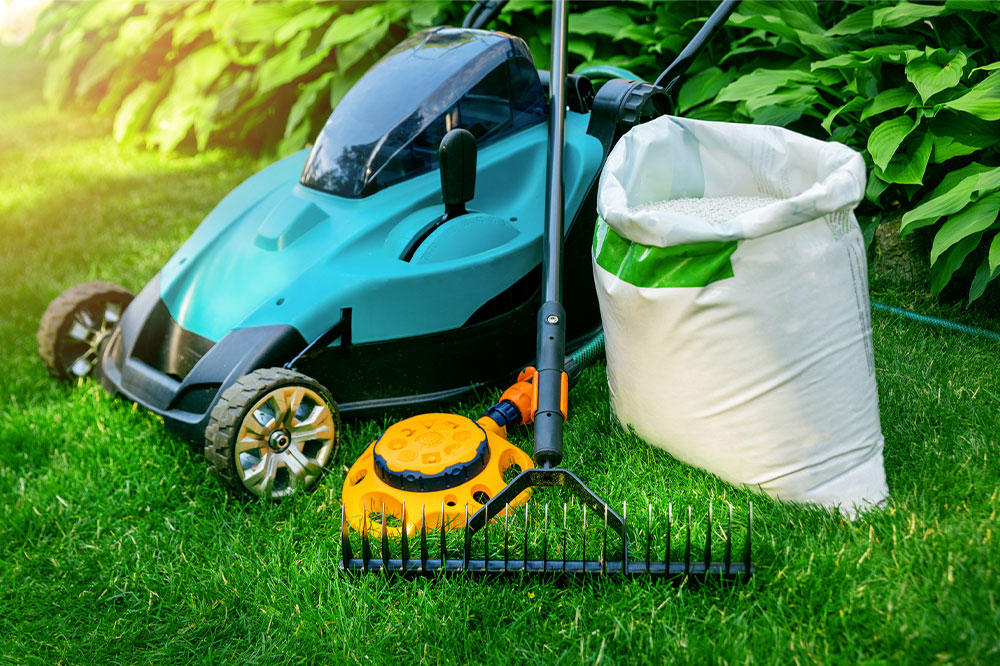 6 effective lawn care tips to maintain a green yard