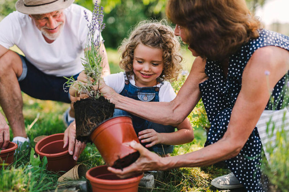 6 common gardening mistakes to avoid